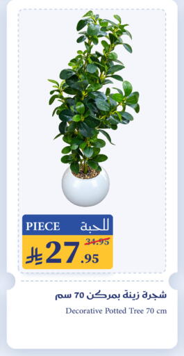 available at ميرا مارت مول in مملكة العربية السعودية, السعودية, سعودية - جدة