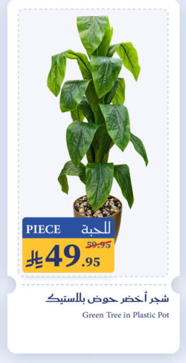 available at ميرا مارت مول in مملكة العربية السعودية, السعودية, سعودية - جدة