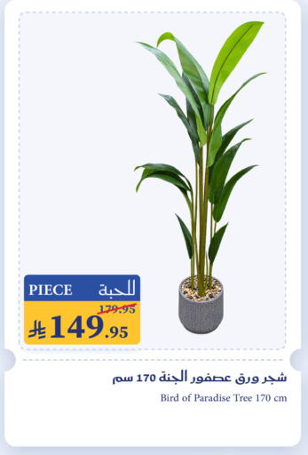 available at ميرا مارت مول in مملكة العربية السعودية, السعودية, سعودية - جدة