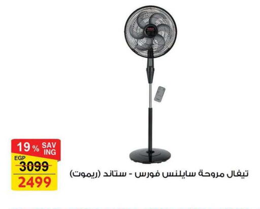 available at Fathalla Market  in Egypt - Cairo
