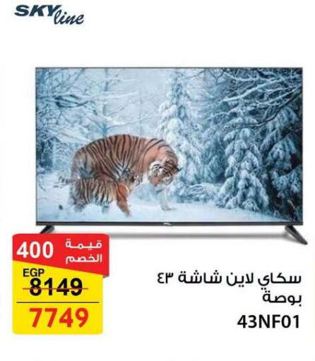 available at Fathalla Market  in Egypt - Cairo