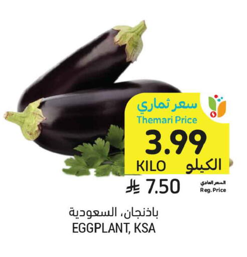 Eggplant available at Tamimi Market in KSA, Saudi Arabia, Saudi - Al Khobar