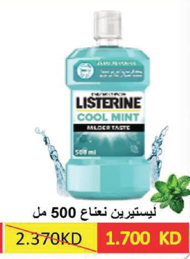 Mint available at جمعية ضاحية صباح السالم التعاونية in الكويت - مدينة الكويت