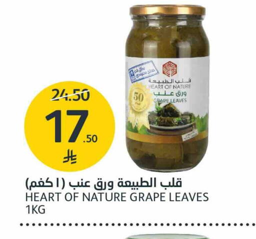 متوفر لدى أسواق الجزيرة في مملكة العربية السعودية, السعودية, سعودية - الرياض