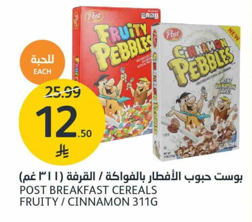 Cinnamon متوفر لدى أسواق الجزيرة في مملكة العربية السعودية, السعودية, سعودية - الرياض