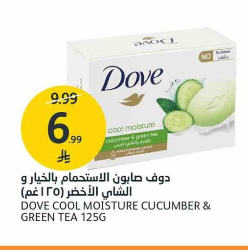 Cucumber متوفر لدى أسواق الجزيرة في مملكة العربية السعودية, السعودية, سعودية - الرياض