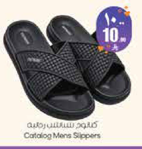 available at City Flower in KSA, Saudi Arabia, Saudi - Hail