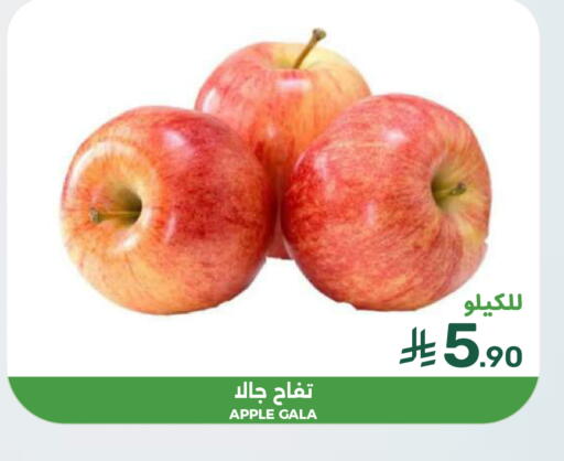 Apple available at  مـزايــا in مملكة العربية السعودية, السعودية, سعودية - القطيف‎
