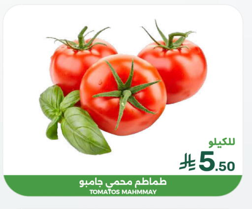 available at  مـزايــا in مملكة العربية السعودية, السعودية, سعودية - القطيف‎