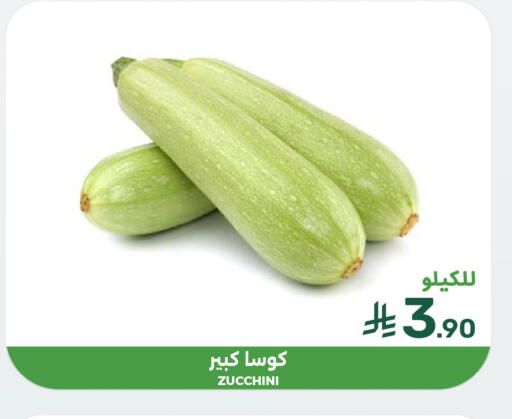 Zucchini available at  مـزايــا in مملكة العربية السعودية, السعودية, سعودية - القطيف‎