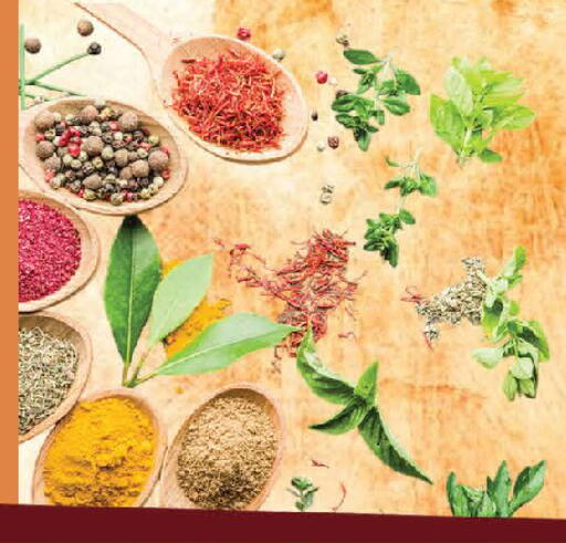 متوفر لدى المدينة في الإمارات العربية المتحدة , الامارات - دبي