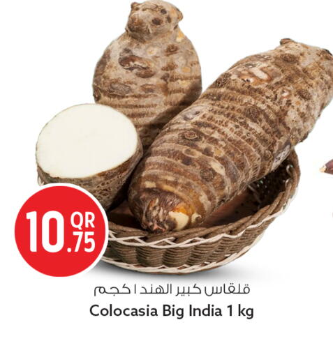 متوفر لدى سفاري هايبر ماركت في قطر - أم صلال