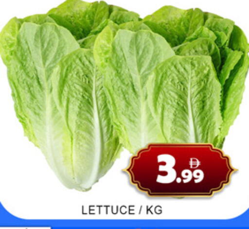 Lettuce متوفر لدى لكي سنتر في الإمارات العربية المتحدة , الامارات - الشارقة / عجمان