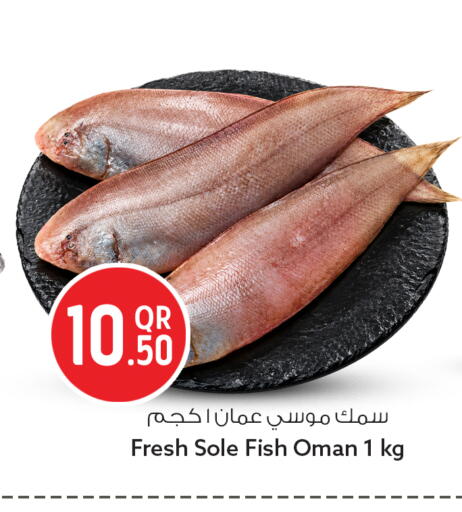 متوفر لدى سفاري هايبر ماركت في قطر - أم صلال
