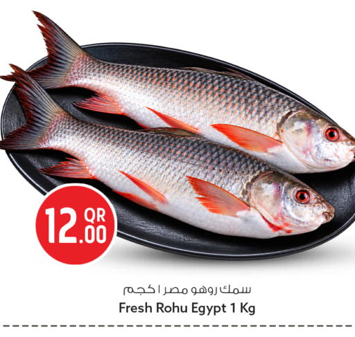 available at Safari Hypermarket in Qatar - Al Rayyan