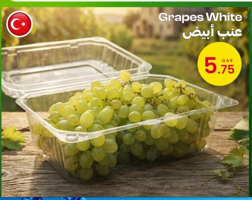 متوفر لدى البلدي اليوم في قطر - الضعاين