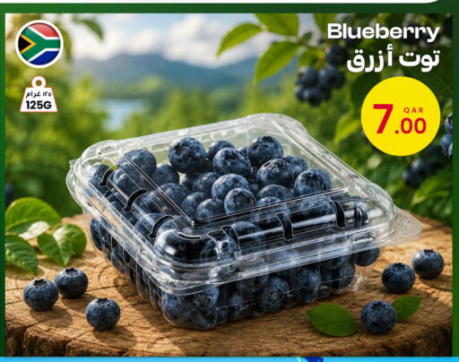 متوفر لدى البلدي اليوم في قطر - الضعاين