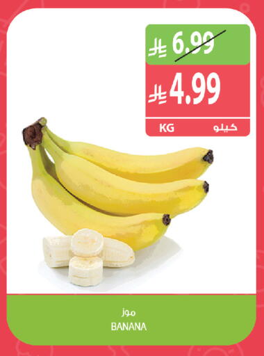 Banana available at Farm  in KSA, Saudi Arabia, Saudi - Tabuk