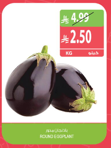 Eggplant متوفر لدى المزرعة في مملكة العربية السعودية, السعودية, سعودية - تبوك