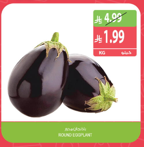 Eggplant available at Farm  in KSA, Saudi Arabia, Saudi - Abha