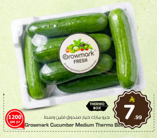 Cucumber available at Nesto in KSA, Saudi Arabia, Saudi - Al Khobar