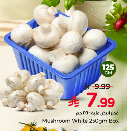 Mushroom available at Nesto in KSA, Saudi Arabia, Saudi - Al Khobar