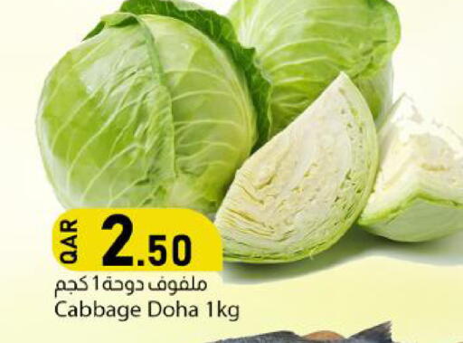 Cabbage available at Dana Market in Qatar - Al Shamal
