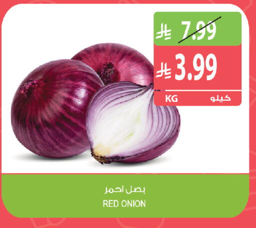 Onion available at Farm  in KSA, Saudi Arabia, Saudi - Al-Kharj