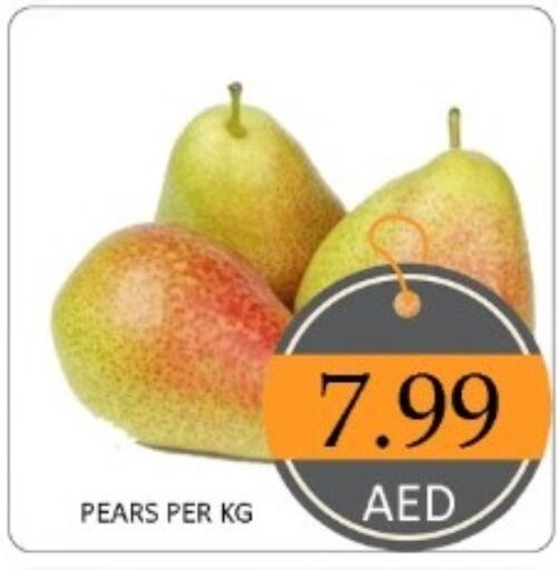 available at GREEN GIFT DEPARTMENT STORE in UAE - Abu Dhabi