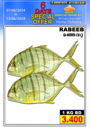Bahrain Shada Fish offers in D4D Online. 6 Days Special Offer. . till 13th june