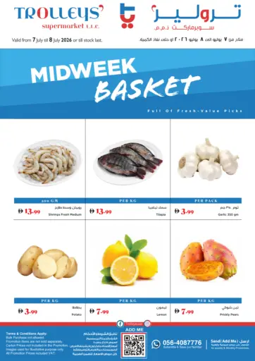 Midweek Basket