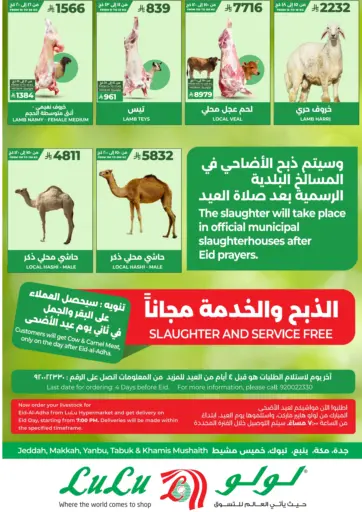 الذبح والخدمة مجاناً