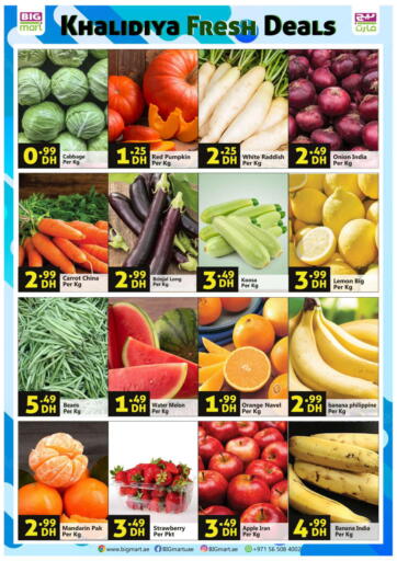 UAE - Abu Dhabi BIGmart offers in D4D Online. Khalidiya, Abudhabi. . Till 22nd January
