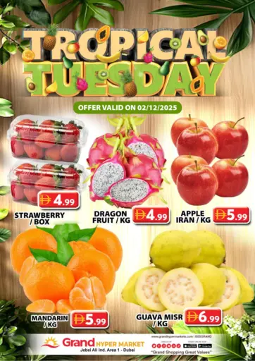 جبل علي، المنطقة الصناعية