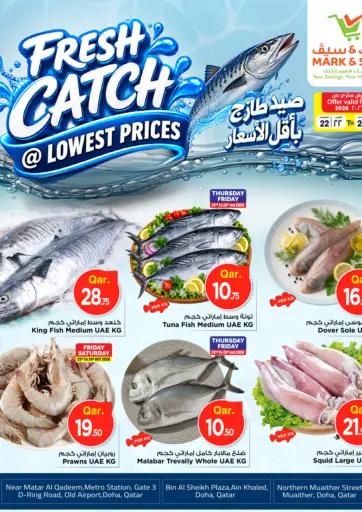 Fresh Catch