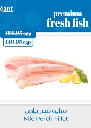 Egypt - Cairo Géant Egypt offers in D4D Online. Premium Fresh Fish. . Until Stock Last