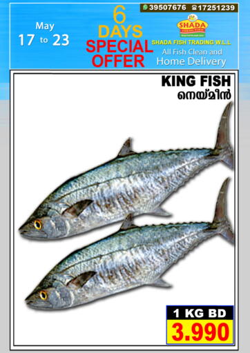 Bahrain Shada Fish offers in D4D Online. Special Offer. . Till 23rd May