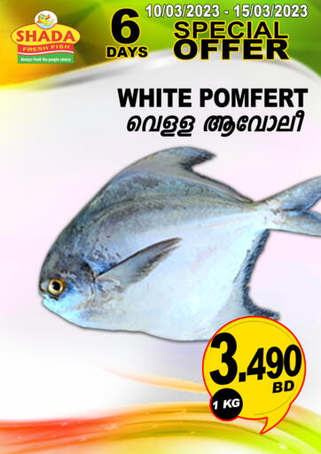 Bahrain Shada Fish offers in D4D Online. Special Offer. . Till 15th March