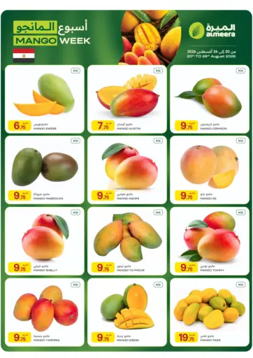 Egyptian Mango Festival