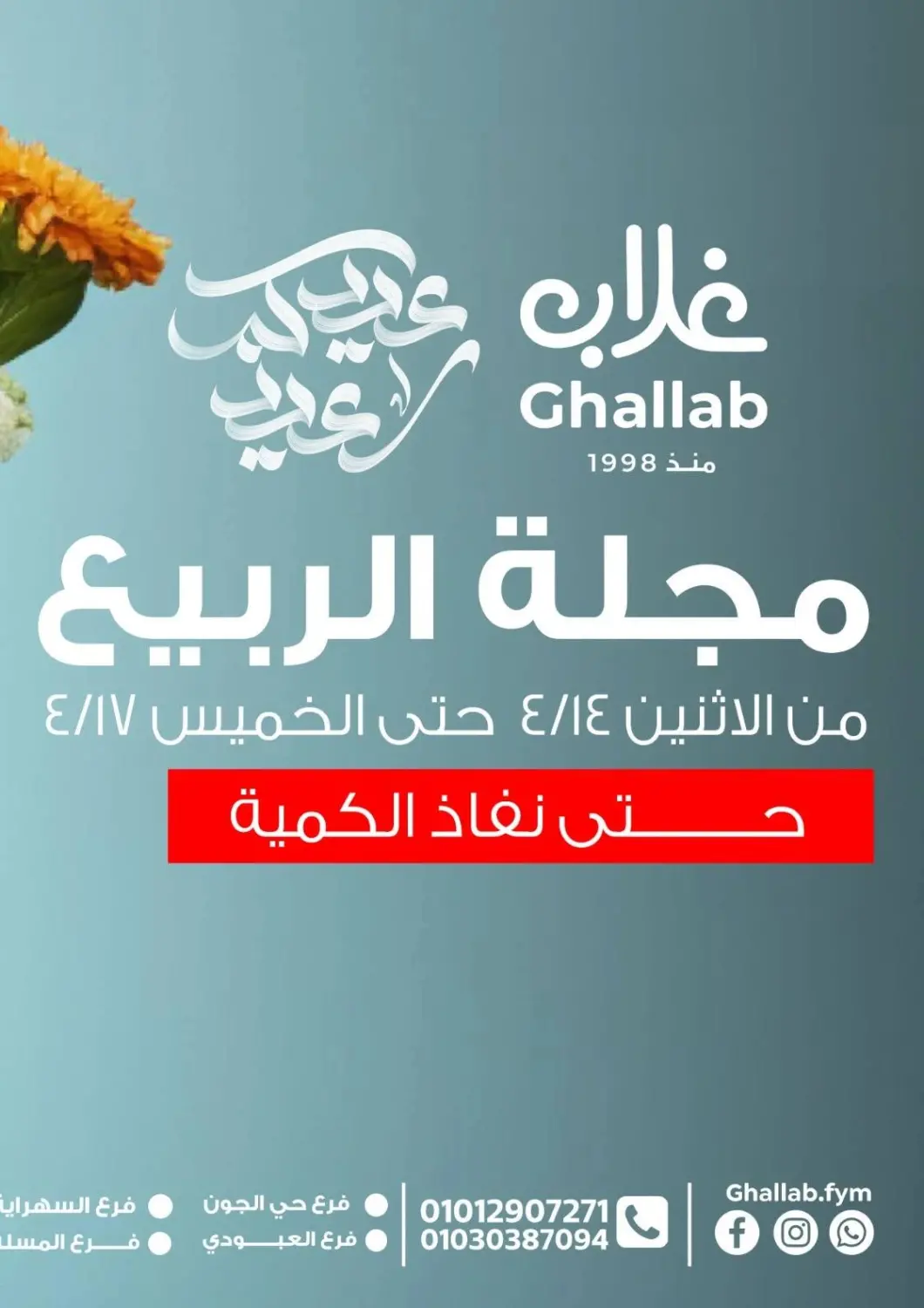 Egypt - Cairo Ghallab Market offers in D4D Online. Special Offer. . Till 17th April