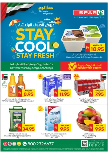 Stay Cool Stay Fresh