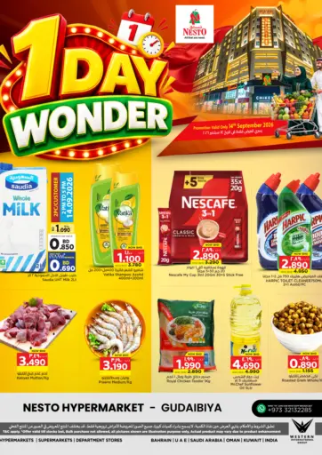 1 Day Wonder