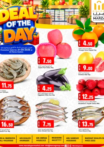 MARZA DEAL OF THE DAY 2026
