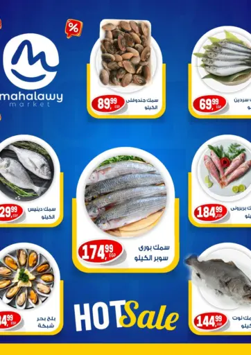 أولاد المحاوى - تنزيلات قوية in Egypt Offers - Egypt تنزيلات قوية