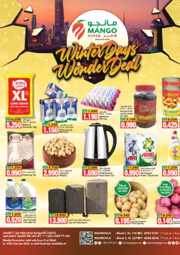Winter Days Wonder Deals