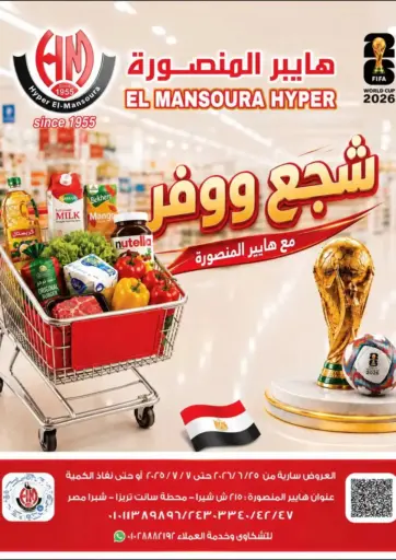 Special Offer