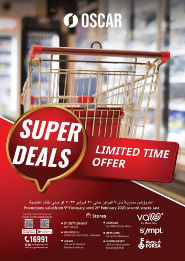 Egypt - Cairo Oscar Grand Stores  offers in D4D Online. Super Deals. . Till 21st February