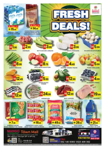 Town Mall DIP - Dubai