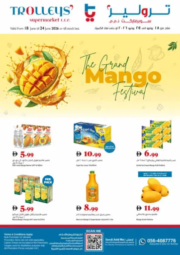 The Grand Mango Festival