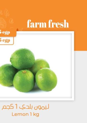 Egypt - Cairo Géant Egypt offers in D4D Online. Farm Fresh. . Until Stock Last